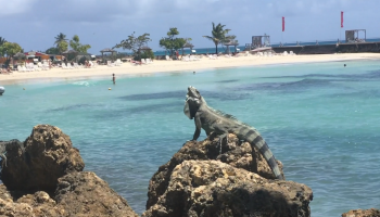 guadeloupe-cedric-annicette