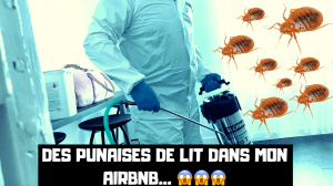 mon-appartement-est-infeste-de-punaises