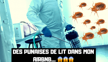 mon-appartement-est-infeste-de-punaises