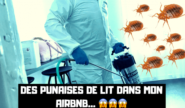 mon-appartement-est-infeste-de-punaises