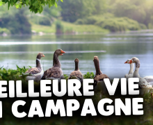 faut-il-demenager-en-campagne-pour-mieux-vivre