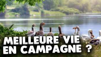 faut-il-demenager-en-campagne-pour-mieux-vivre