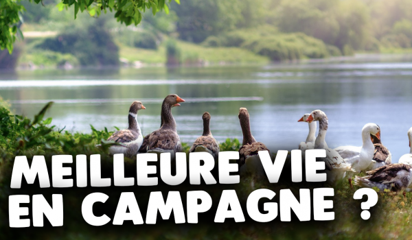 faut-il-demenager-en-campagne-pour-mieux-vivre