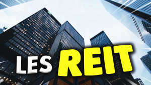 est-ce-que-les-reit-performent-mieux-que-l-immobilier-prive