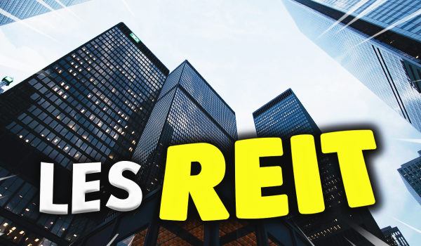 est-ce-que-les-reit-performent-mieux-que-l-immobilier-prive